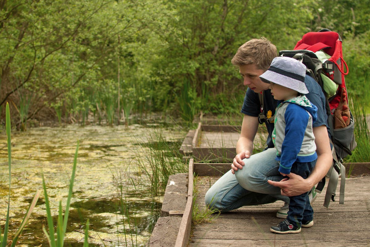 Autumn walks to help kids become interested in nature