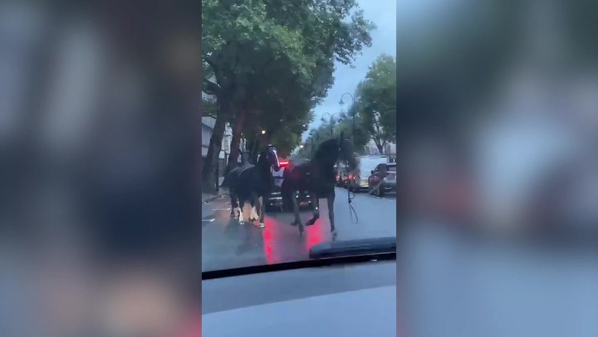Household Cavalry horses escape and weave through London traffic during rush hour