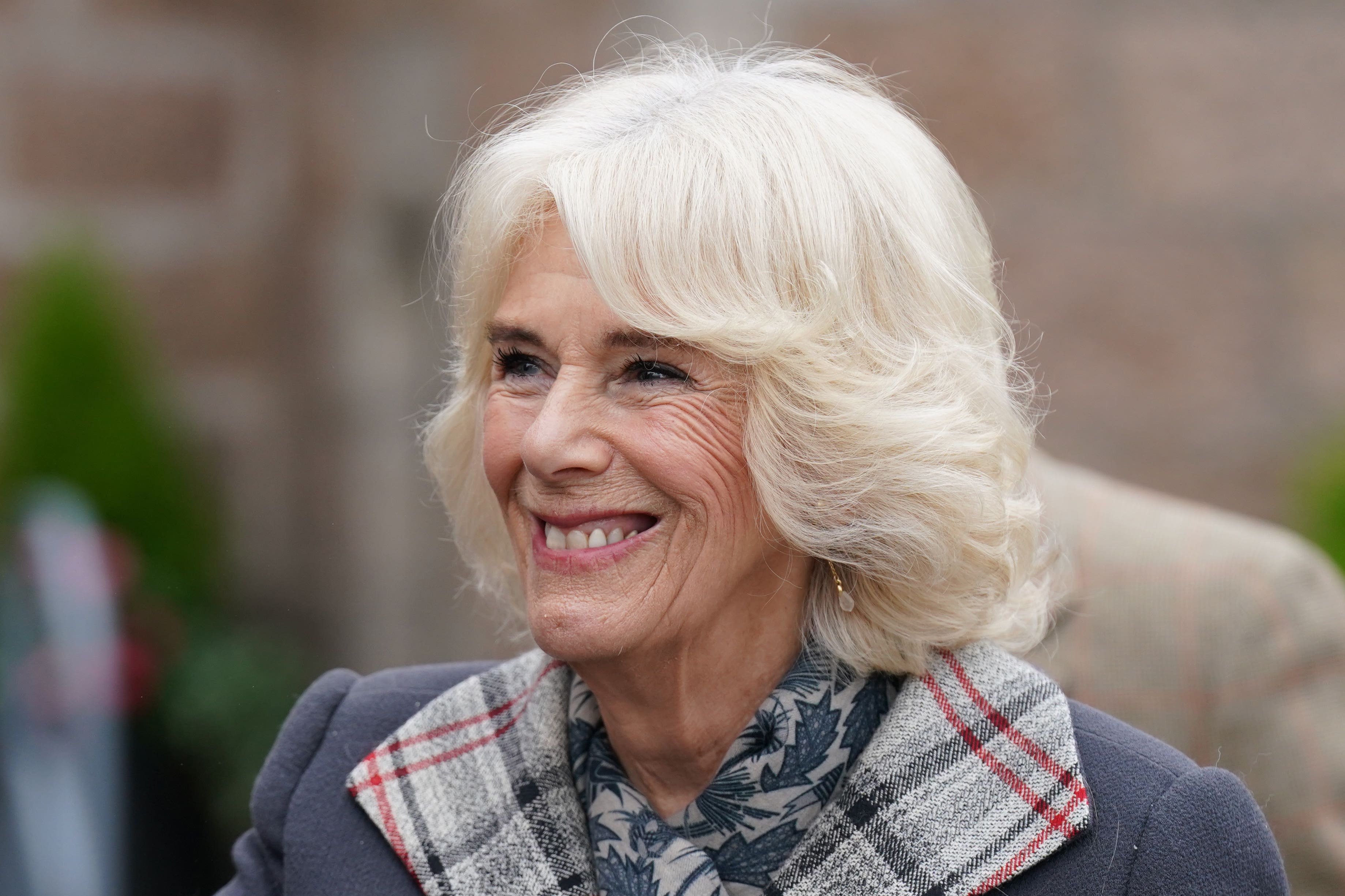Camilla has been a long-time supporter of literacy in the UK (Andrew Milligan/PA)