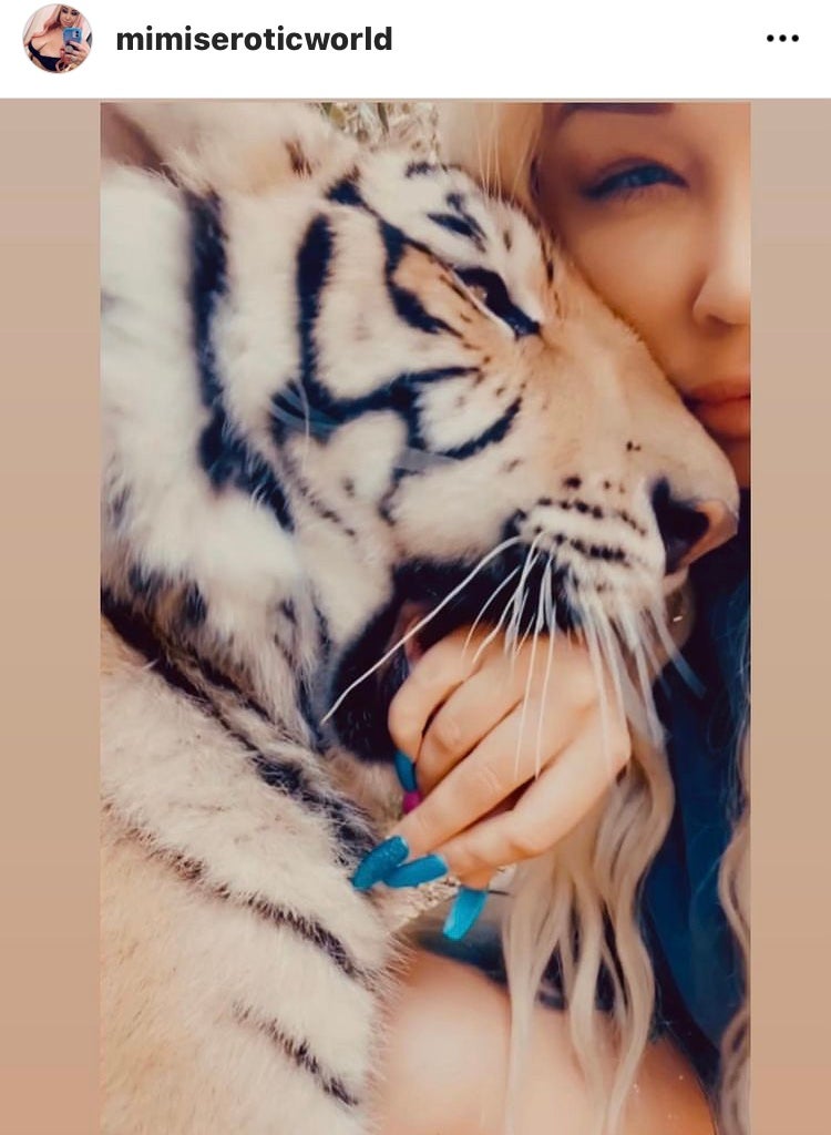 In 2016, Meyer was found to have animals including a cougar, a skunk, monkeys, three tiger cubs and a large adult male tiger in her Houston home