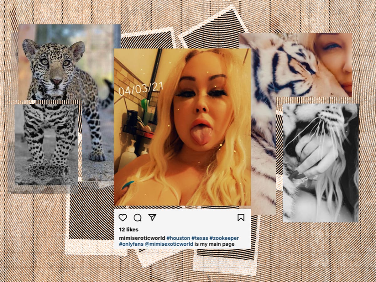 Meet Mimi Erotic, the fugitive exotic animal dealer clawing for Tiger King-style infamy Meet Mimi Erotic, the fugitive exotic animal dealer clawing for Tiger King-style infamy