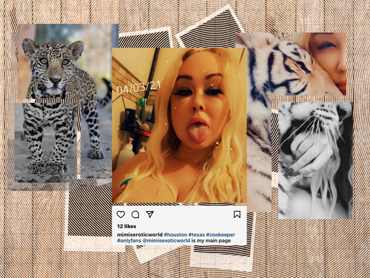 Tigers in her home, a jaguar sold online – now she’s on the run from the FBI. Meet Mimi Erotic, America’s new Tiger King