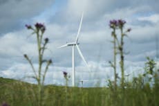 Government takes aim at wind farm profits with new rules