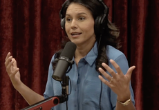 Tulsi Gabbard tells Joe Rogan she was shunned by Democrats ‘over and over’ for appearing on Fox News