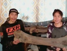 Couple on a hike discover huge mammoth bone uncovered by storm