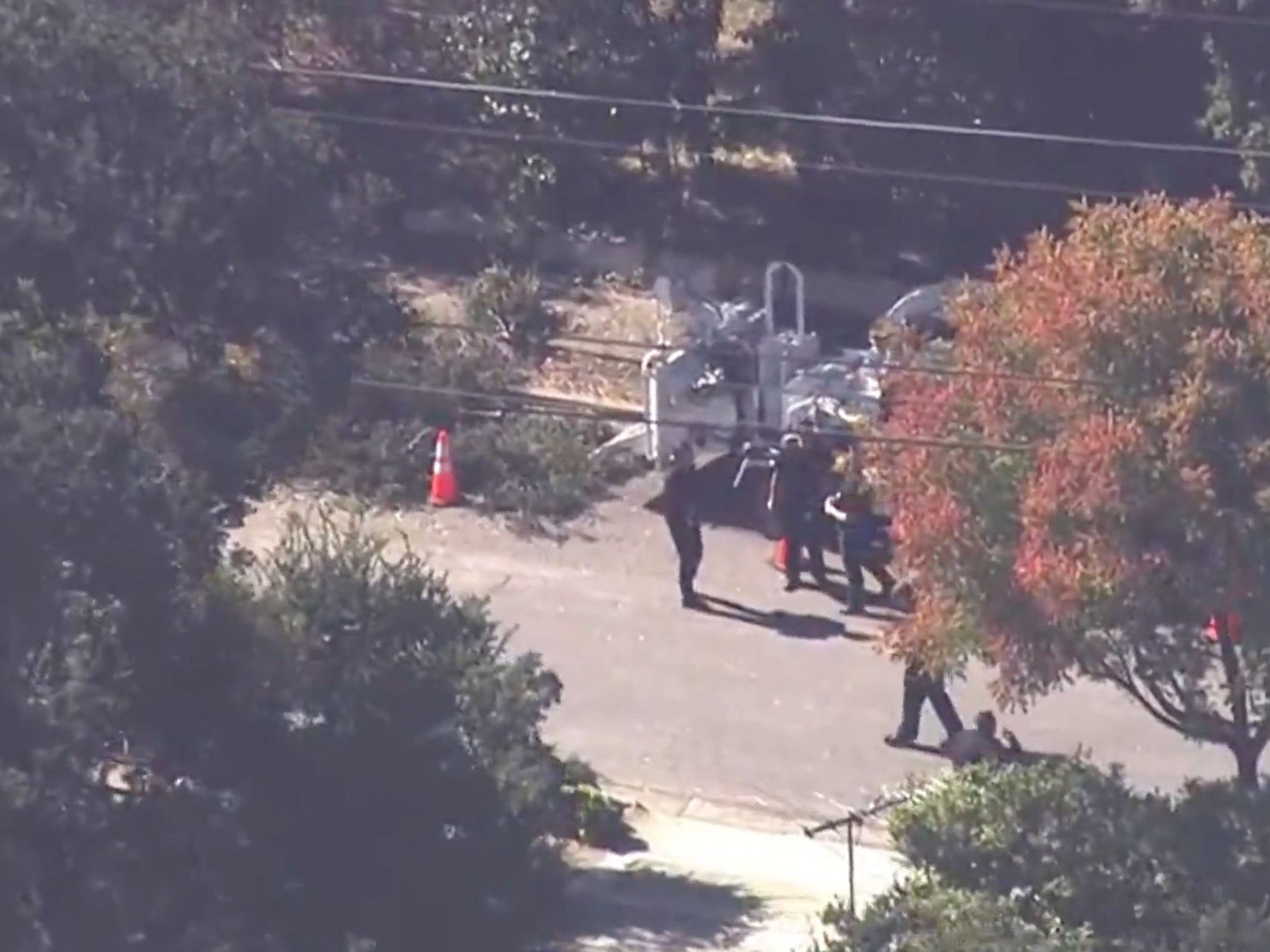 <p>An image of the scene of the death of a tree trimmer in California </p>
