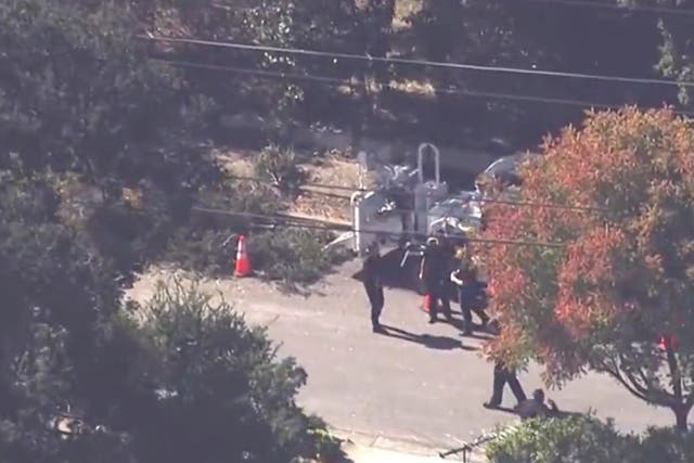 <p>An image of the scene of the death of a tree trimmer in California </p>