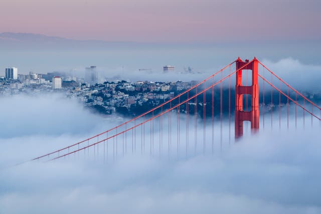 <p>The Golden Gate Bridge and its infamous fog</p>