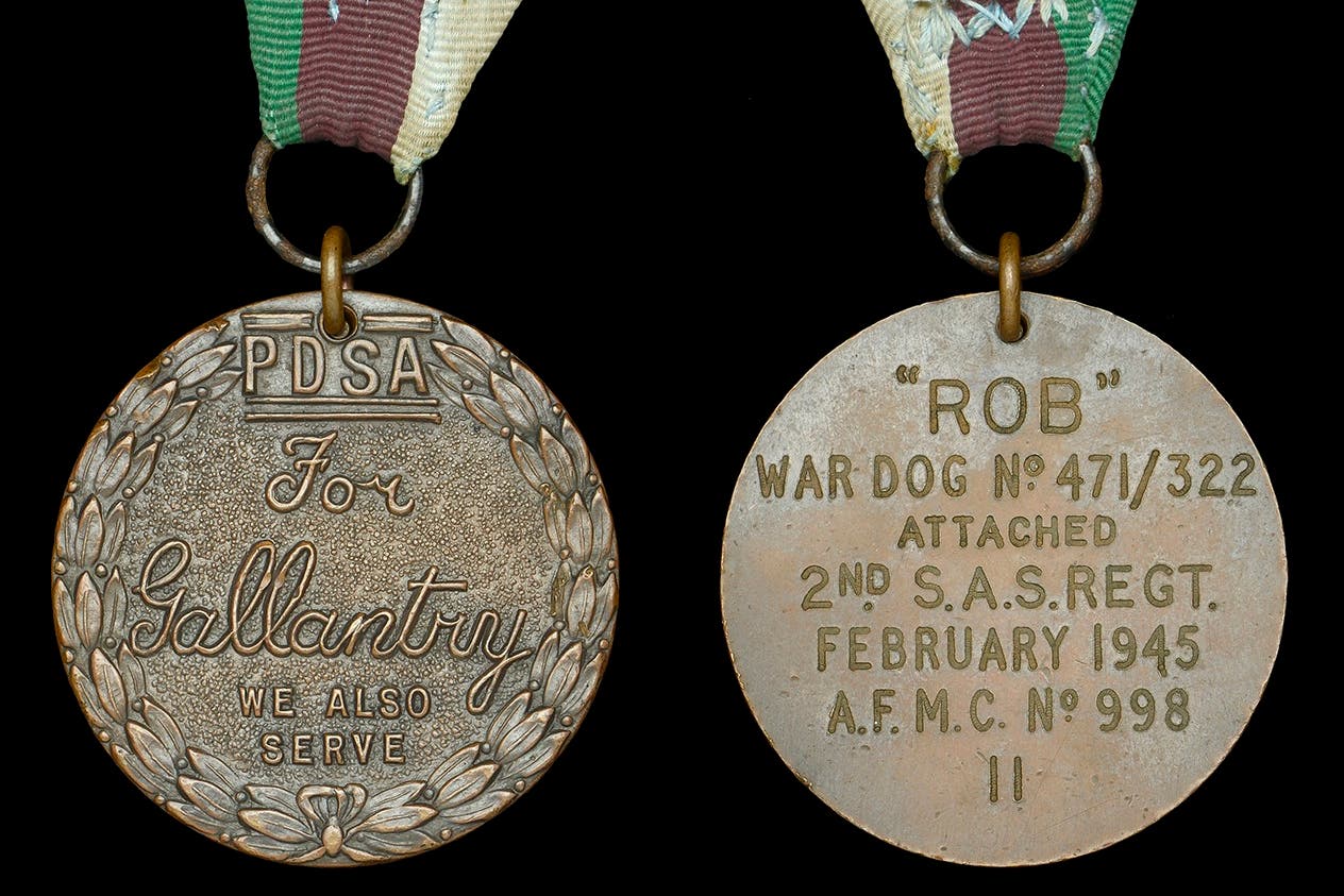 Rob the Dog’s Dickin Medal, which has been sold at auction (Noonans)