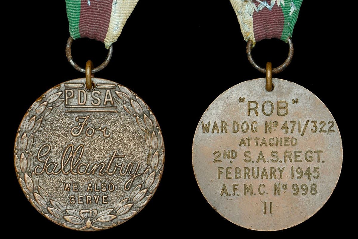 War dog’s gallantry medal and memorabilia sells for £140,000 at auction