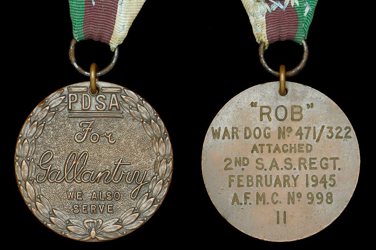 WW2 dog’s gallantry medal and memorabilia sells for £140,000 at auction