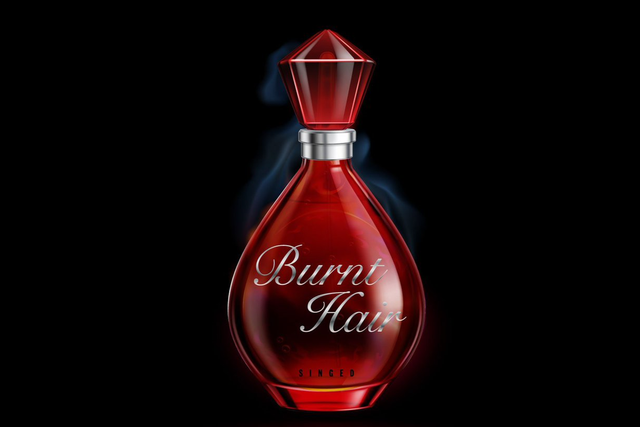 <p>The Burnt Hair fragrance cost $100 and was only available for sale on The Boring Company’s website</p>