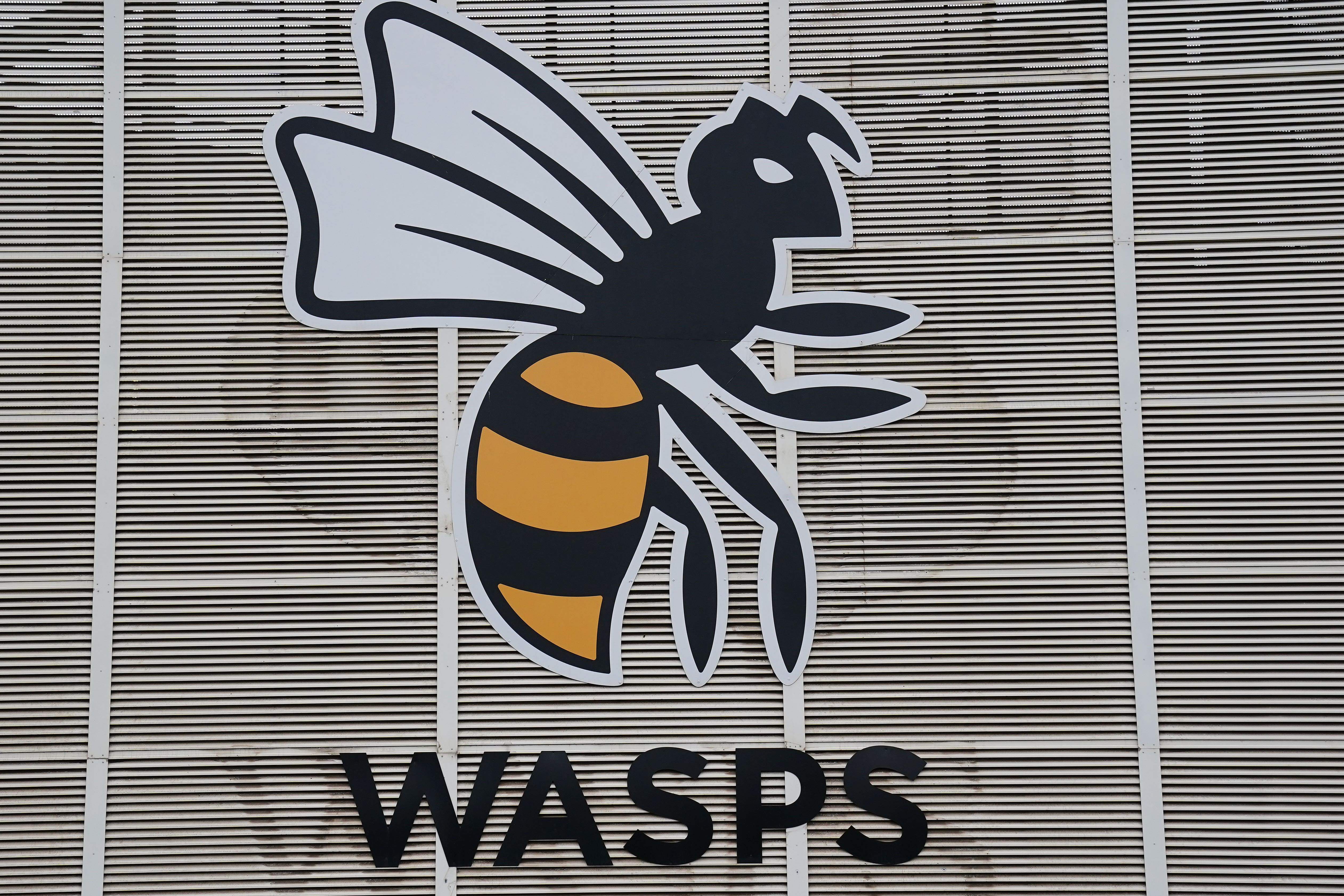 Wasps have entered administration