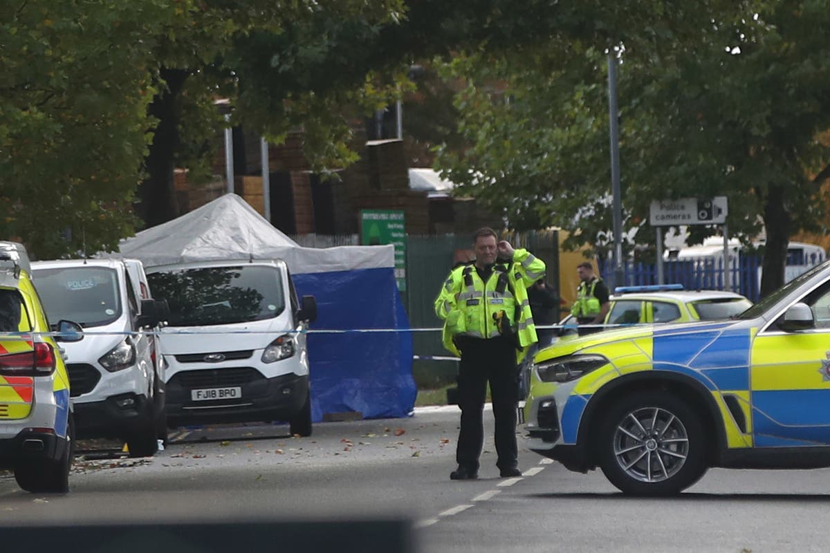 Man was shot dead by police after less-lethal methods failed, says watchdog