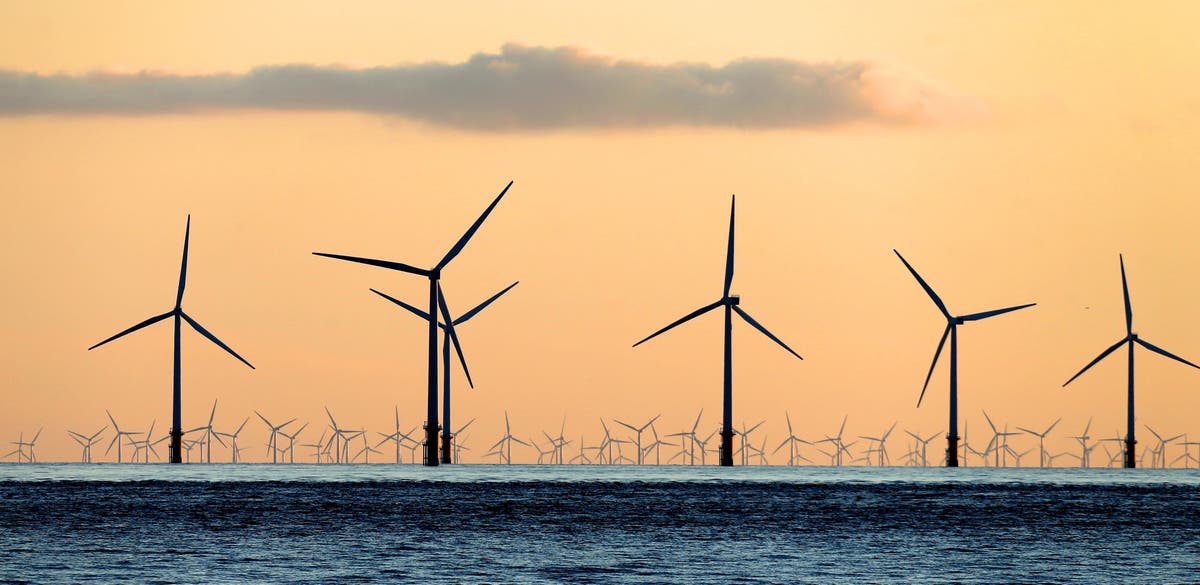 Energy trade body criticises ‘sudden’ announcement of windfall tax on renewables