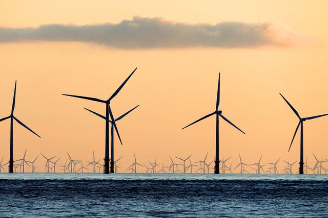 <p>The government plan <a href="https://www.independent.co.uk/independentpremium/uk-news/truss-rees-mogg-renewable-energy-tax-b2201296.html"></a>involves capping the revenues of renewable power companies. </p>