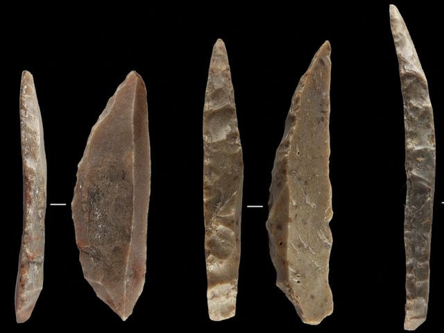 <p> Stone knives believed to have been made by some of the last Neanderthals in France and northern Spain</p>
