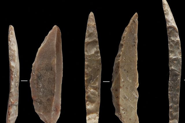<p> Stone knives believed to have been made by some of the last Neanderthals in France and northern Spain</p>