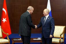 Putin suggests turning Turkey into gas hub for Europe