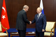 Putin suggests turning Turkey into gas hub for Europe