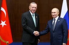 'No waiting': Turkey, Russia to act on Putin's gas hub offer