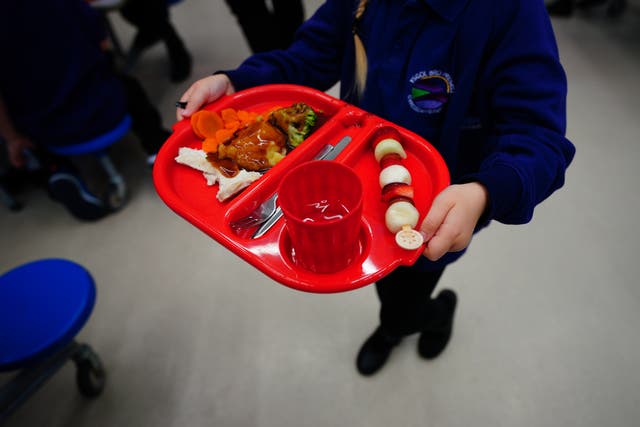 <p>A primary school pupil in Wales, where universal free school meals have been rolled-out </p>