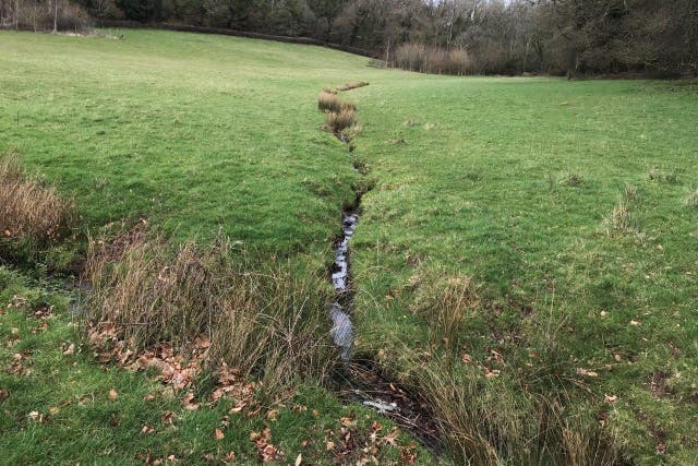 One of the tributaries to the River Aller on the Holnicote Estate in Somerset, where a project is being brought in to return rivers to a more natural state (National Trust/PA)