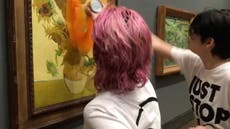 Moment Just Stop Oil protesters throw soup over Van Gogh’s Sunflowers masterpiece