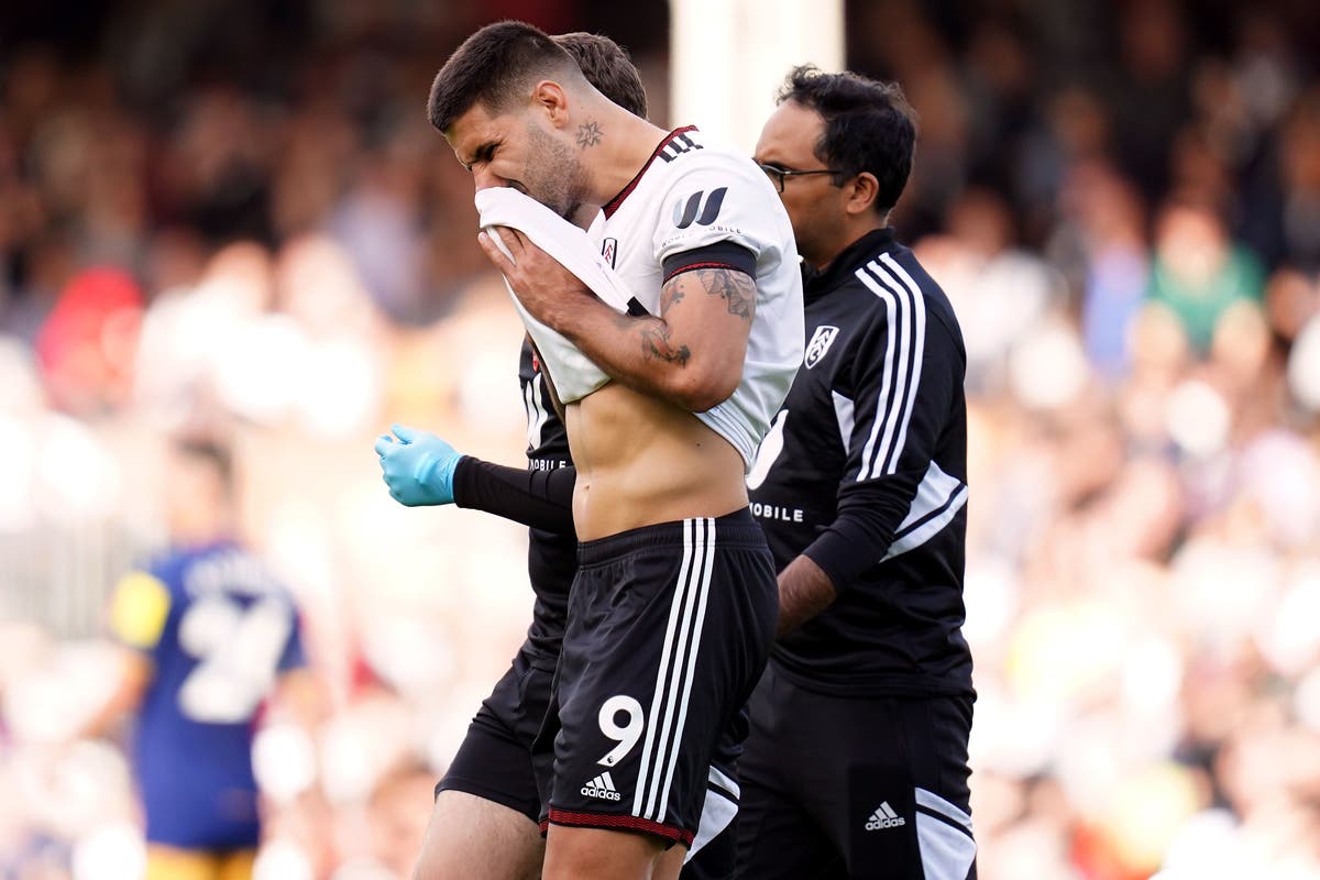 Fulham striker Aleksandar Mitrovic &lsquo;getting better&rsquo; as he nears return from injury