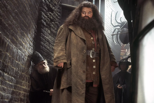 <p>Robbie Coltrane in ‘Harry Potter’</p>