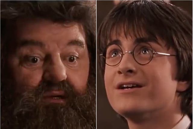 <p>Robbie Coltrane as Hagrid and Daniel Radcliffe as Harry Potter</p>
