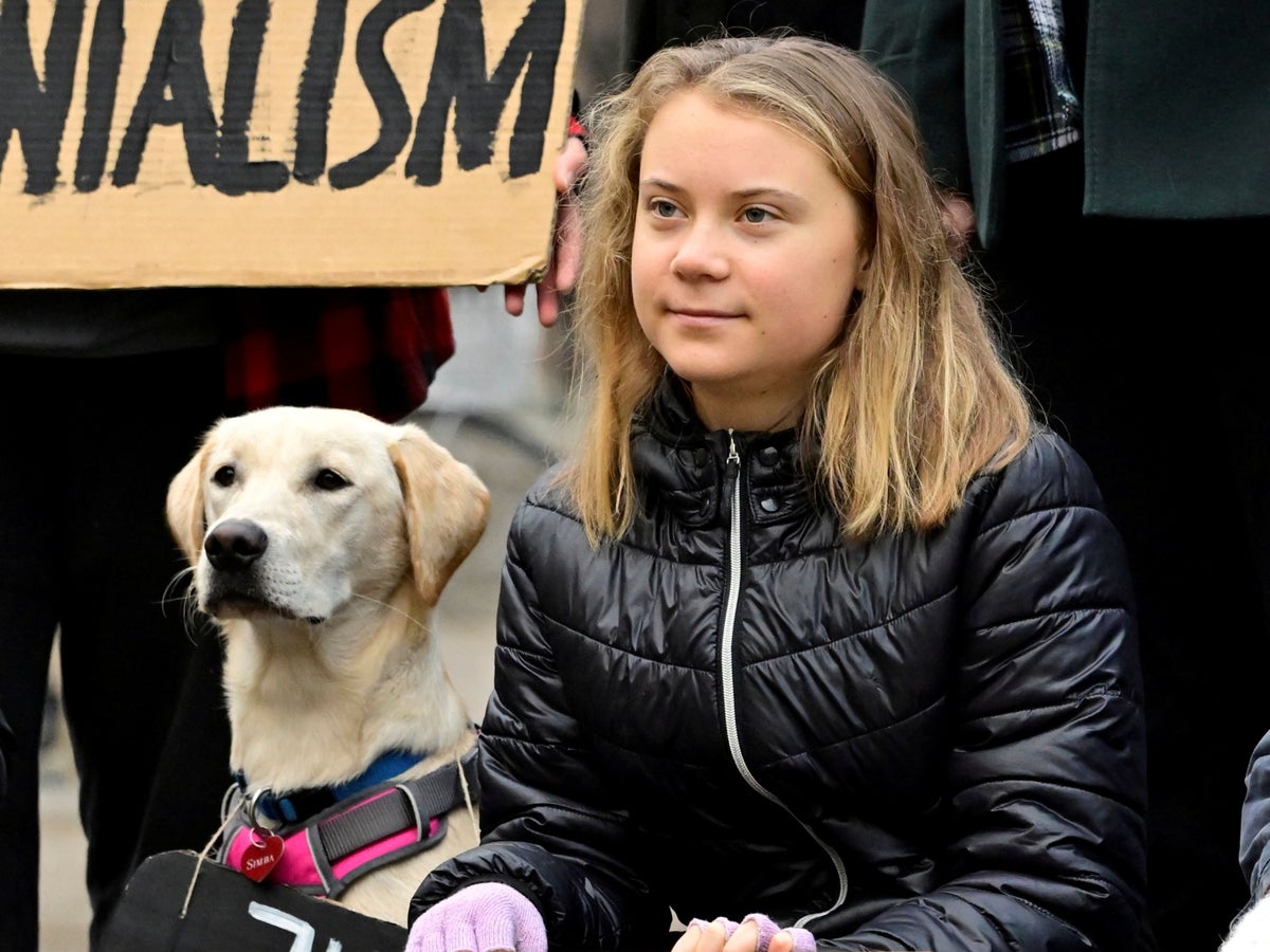 Greta Thunberg says she earns no money from her activism