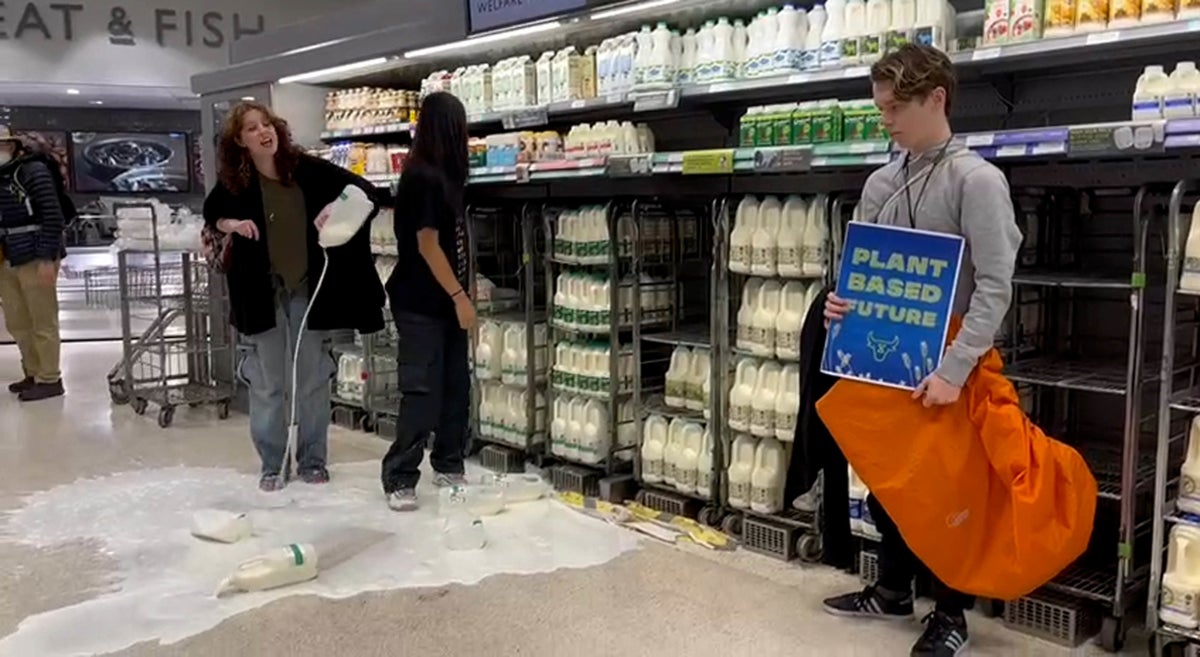 Animal Rebellion protesters pour out milk at Harrods and Waitrose to demand ‘plant-based future’