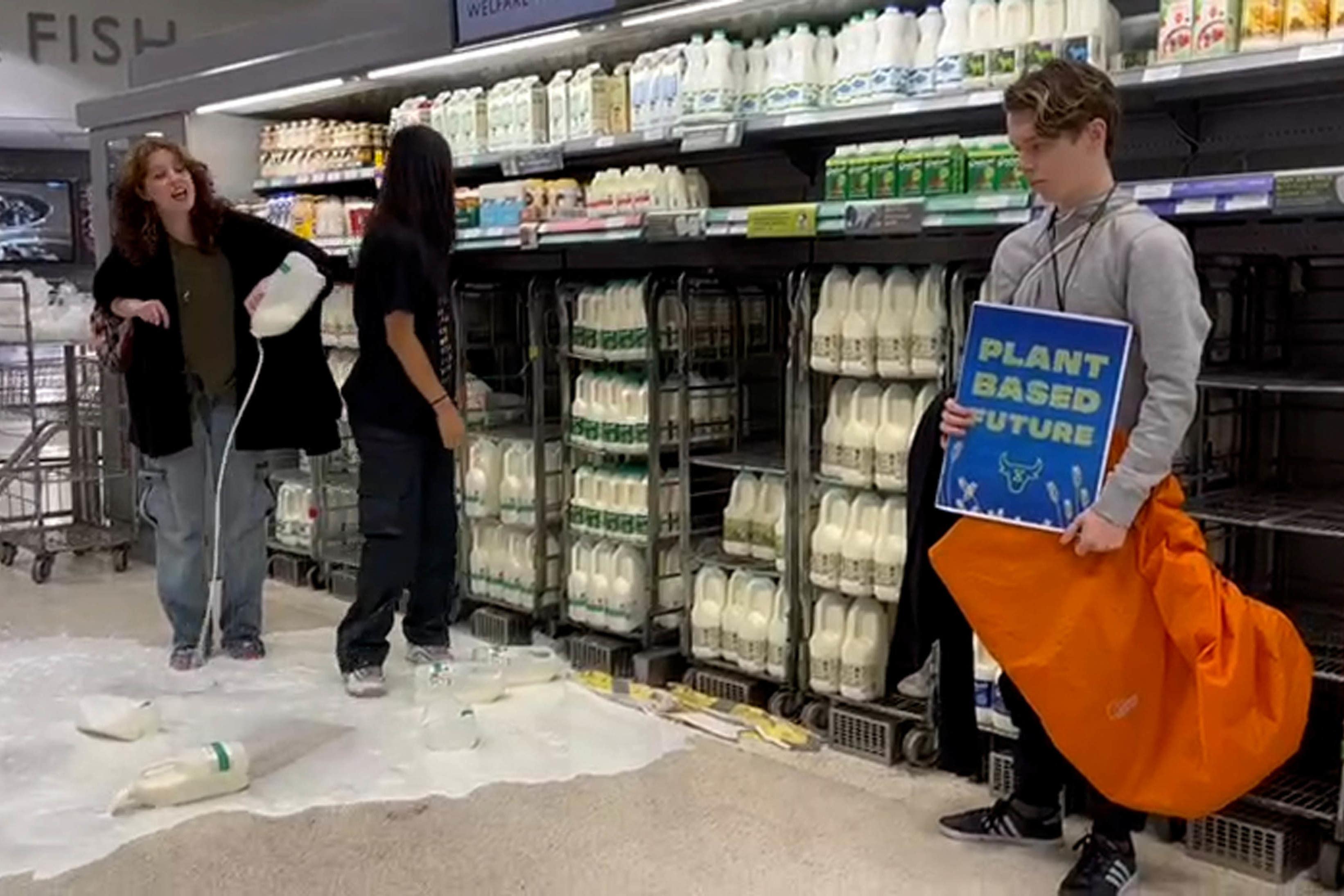 Animal Rebellion protesters pour milk in shops across UK – including  Harrods | The Independent