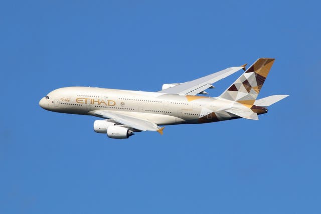 <p>An Etihad Airways Airbus A380</p>