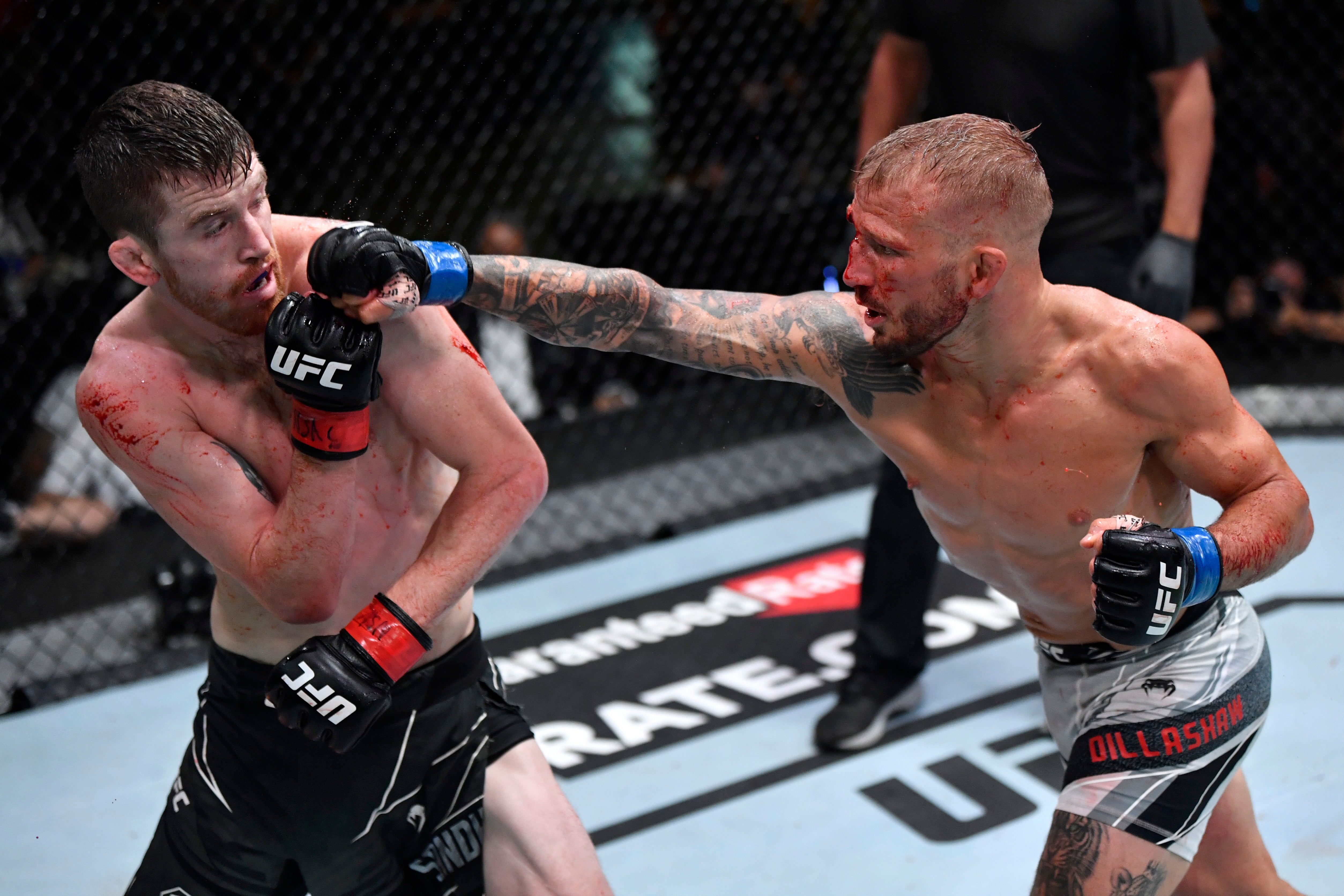 Dillashaw (right) returned from a two-year ban last July, beating Cory Sandhagen on points