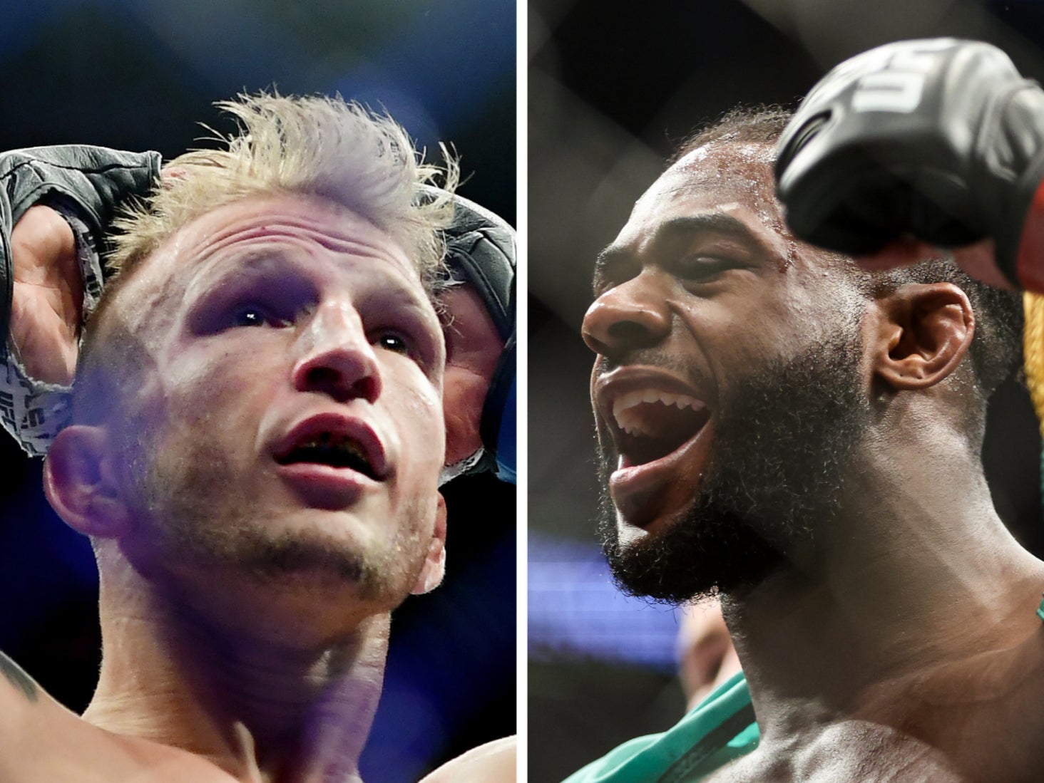 UFC 280 TJ Dillashaw out to undo deal with the devil against Aljamain Sterling The Independent