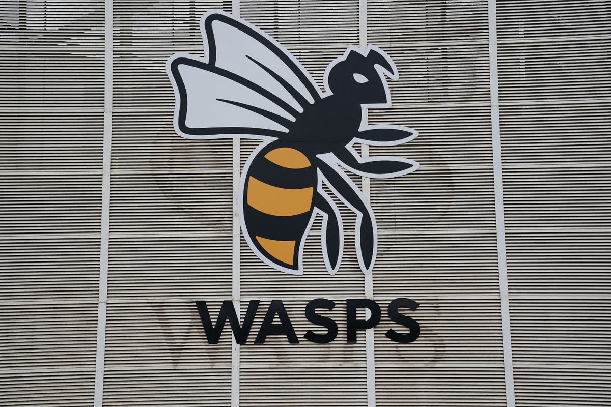 Wasps placed into administration as holding company ceases trading Wasps placed into administration as holding company ceases trading