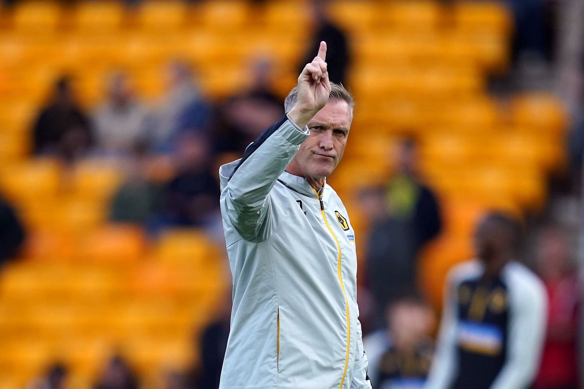 Wolves interim boss Steve Davis taking spell in charge one game at a time