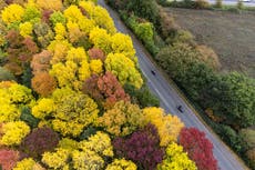 ‘Trampling’ on nature will not lead to healthy economy, Government adviser warns
