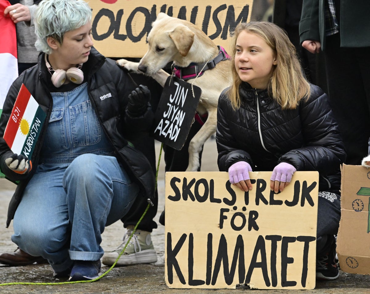 Greta Thunberg says young activists bear ‘too much responsibility’ in face of climate crisis
