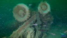 WWII shipwreck leaking pollutants has changed nature of ocean floor around it