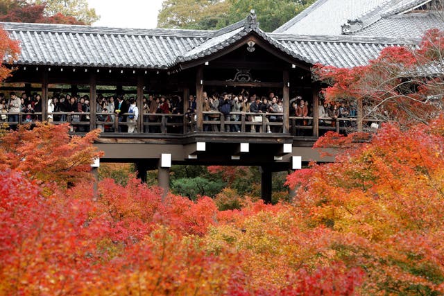 <p>File:  People enjoy the autumn leaves at Tofukuji Temple where the toilet is present </p>