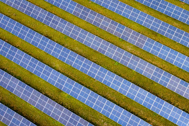<p>A solar power farm (Ben Birchall/PA)</p>