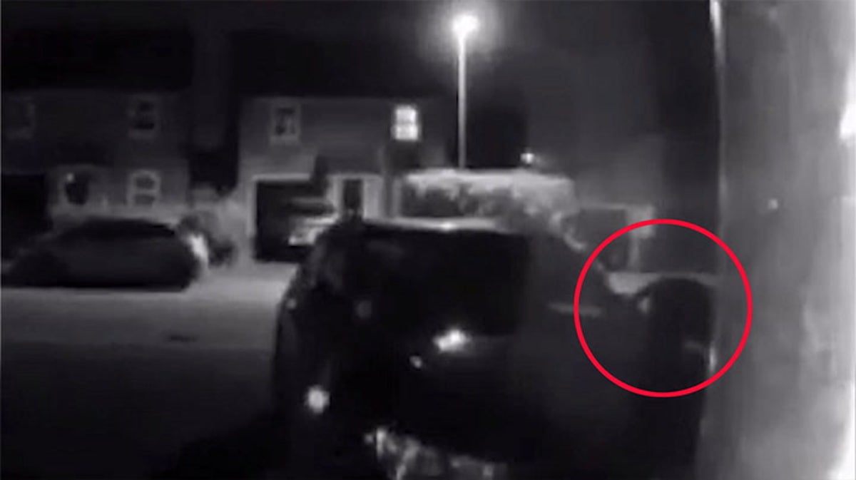 Doorbell camera captures ‘panther’ walking down Cheshire street