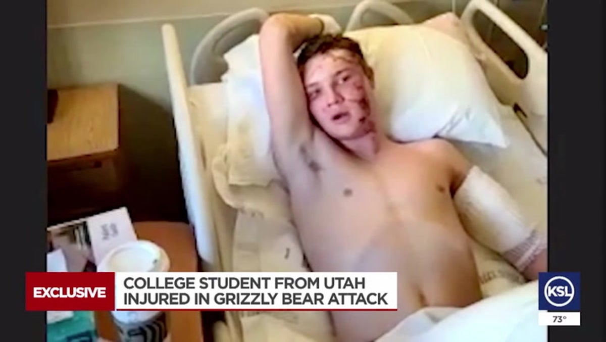 College wrestler saves friend from grizzly bear attack