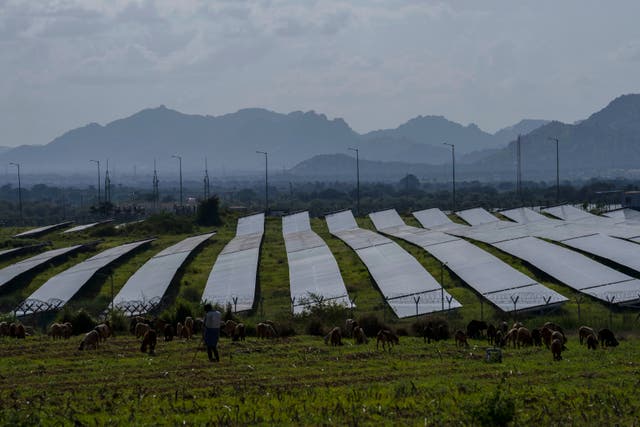 Climate Solar Market