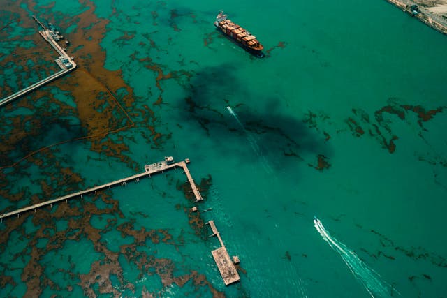 <p>A ship passes an oil spill near an oil depot in Lagos, Nigeria. The country is among those facing the worst ecological threats</p>