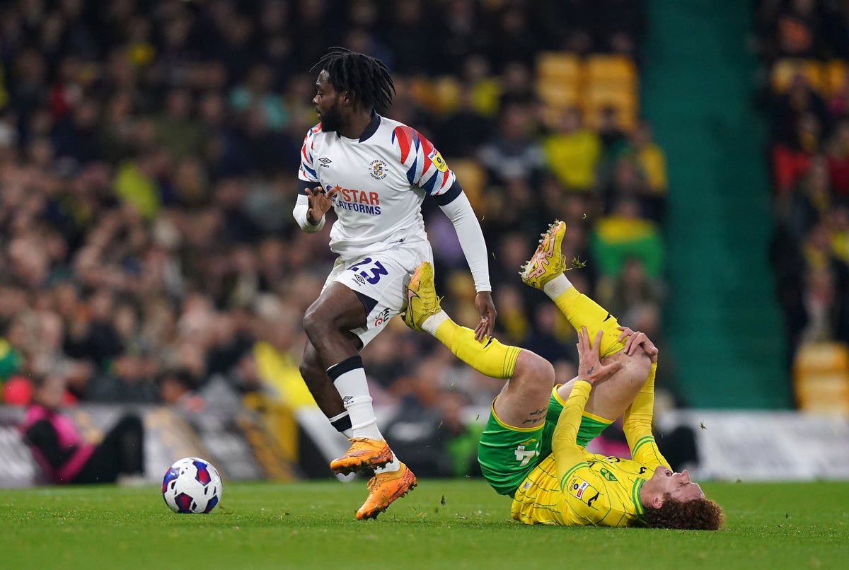 Norwich City vs Luton Town LIVE: Championship latest score, goals and updates from fixture