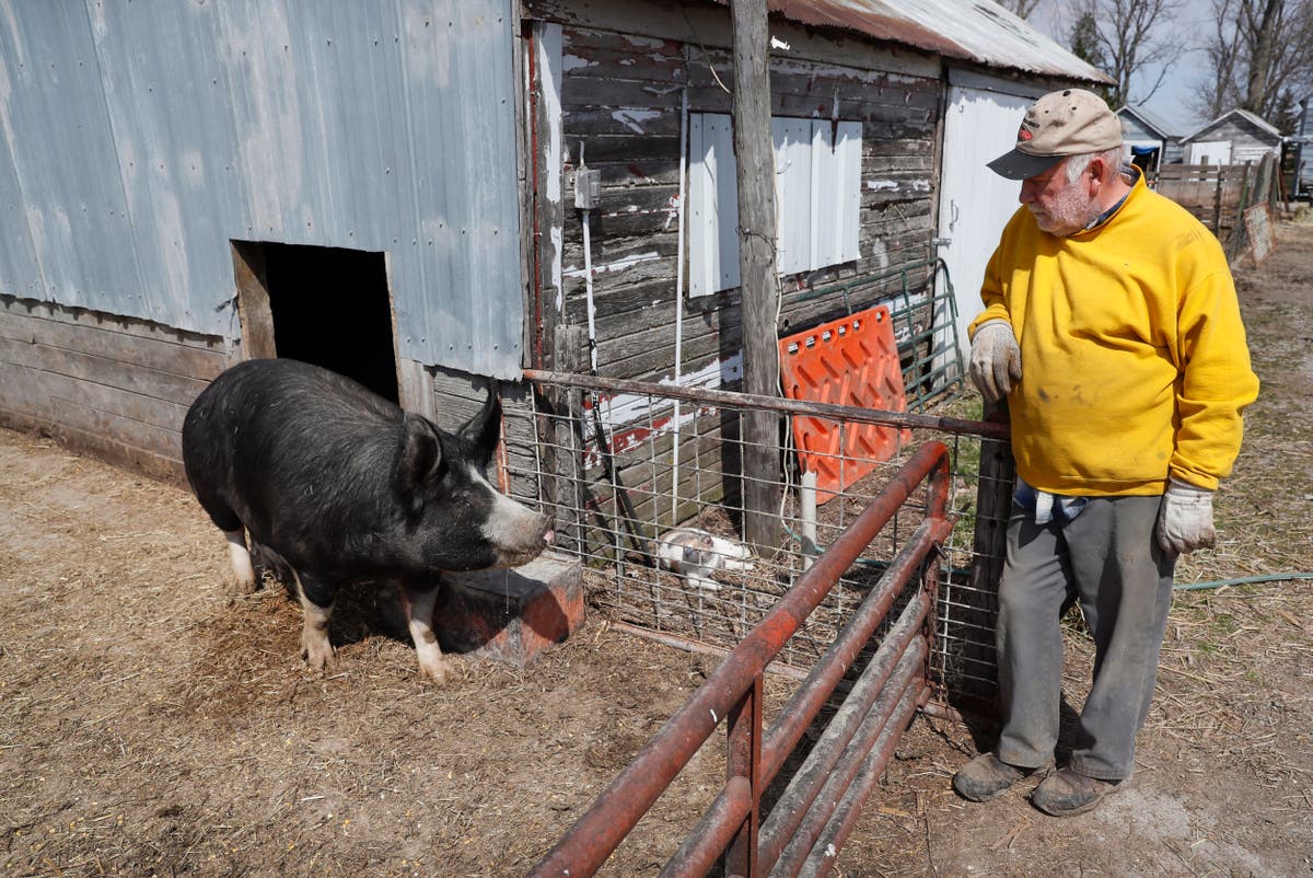 USDA announces $1 billion debt relief for 36,000 farmers